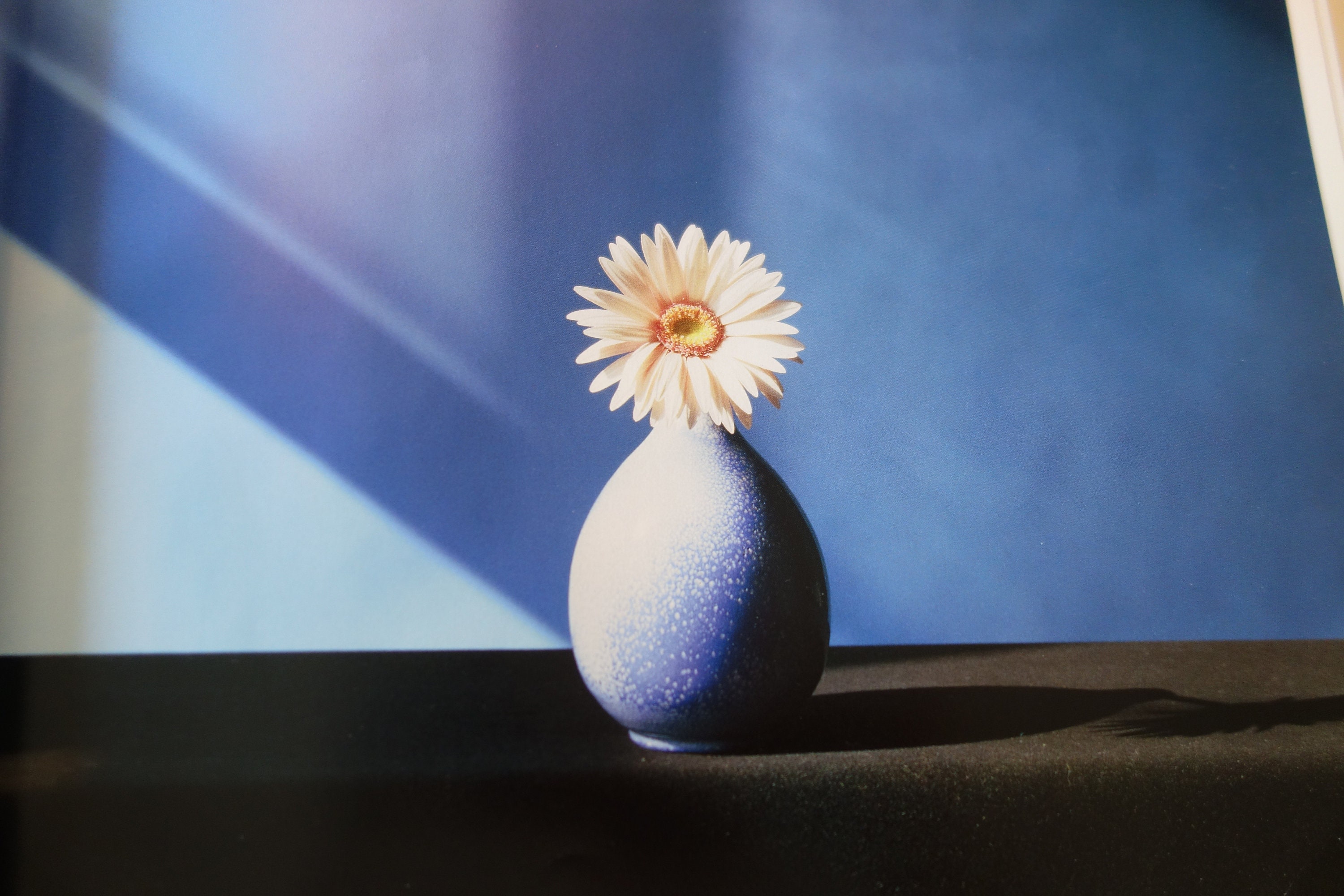 Robert mapplethorpe flowers - Etsy 日本