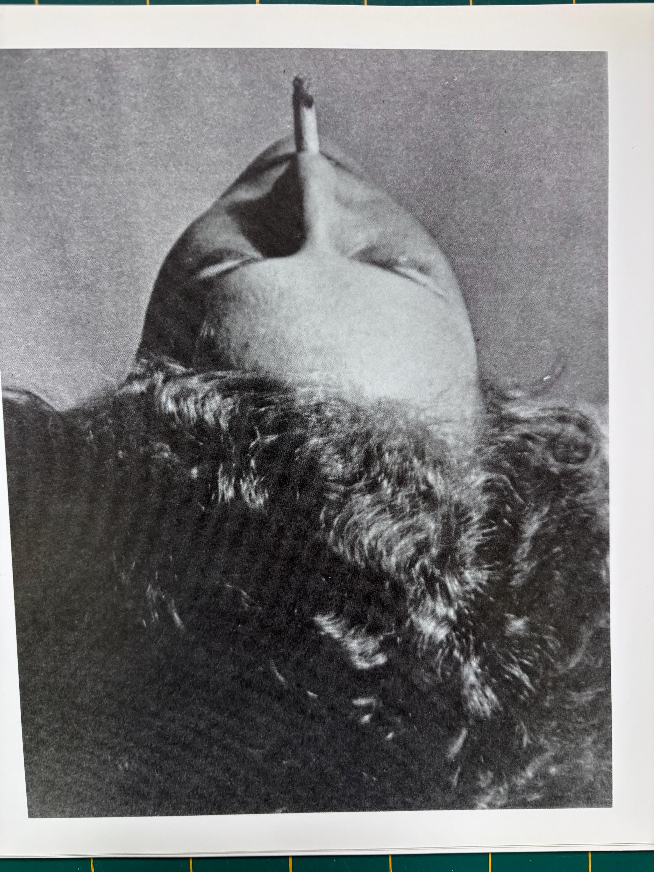 限定額装品/黒と白/Man Ray/マン・レイ アート モノクロ ポスター Man Ray | Head With Cigarette | Black and White | Vintage