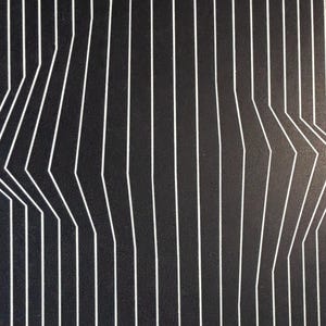 Pode incluir: Obra de arte abstrata em preto e branco com linhas brancas verticais que se curvam para criar uma forma geom&eacute;trica central. O design tem um efeito de ilus&atilde;o de &oacute;tica, com as linhas parecendo se mover.