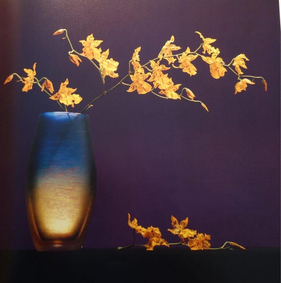 Mapplethorpe Yellow Orchids in Vase Reproduction Art Print New