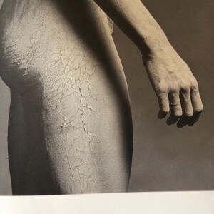 メイプルソープ リサ・ライオンの横顔 女性の身体 | ドラマチックな現代写真 | 1989 年オリジナル出版 リトグラフ 額装可能 アートギフト