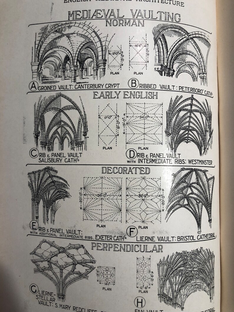 English Medieval Vaulting | Interior Architecture | Gift for Architect ...