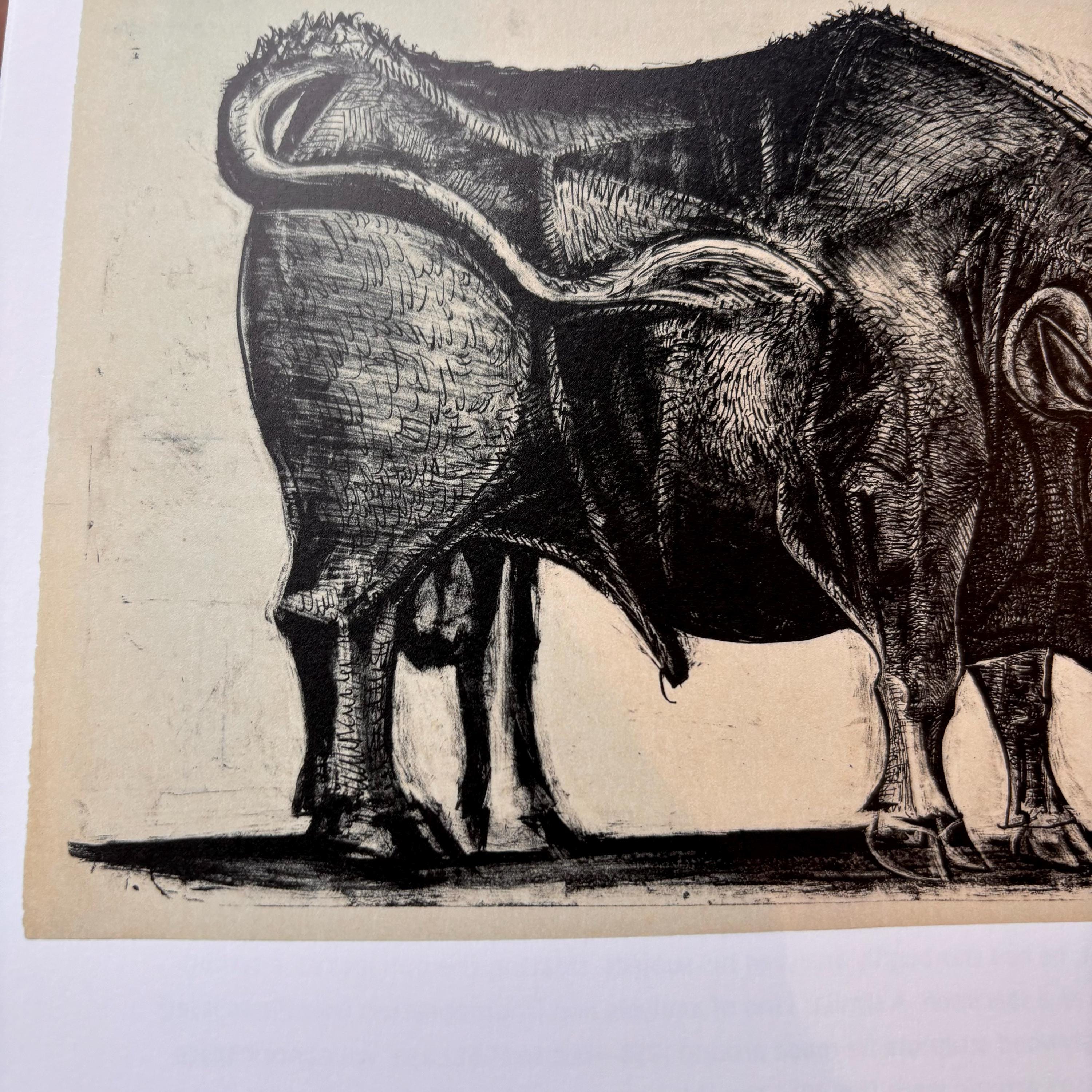 Picasso Bull, State IV | Original Published Lithograph | From a Series ...