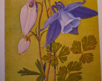 Botanical Print - Ancolie des Alpes - Giclee Fine Art print Vibrant color prints - ready to frame - Alpine flowers high altitude plants