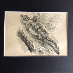 1880 Flying Gecko antique original print beautiful Exotic Reptile in Natural Setting Wall Art