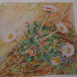 Puede incluir: Una pintura de acuarela de un grupo de margaritas blancas y rosadas con centros amarillos, creciendo en un lecho de hojas marrones y verdes. Las margaritas están en diferentes etapas de floración, algunas completamente abiertas y otras aún en capullo.