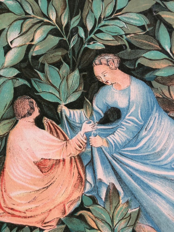 Sage as a Herbal Remedy Medieval Art Original Lithograph 1939 From