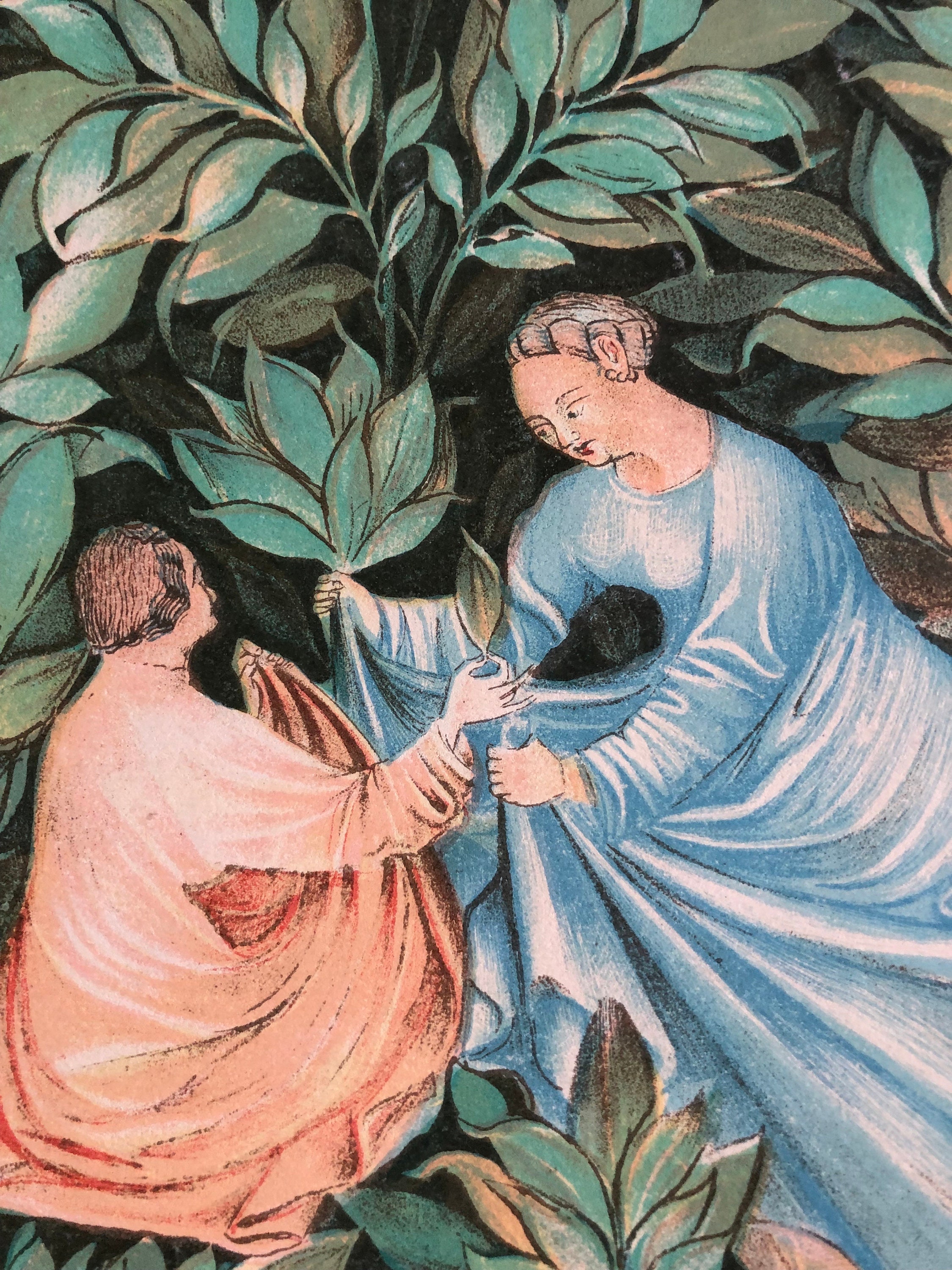 Sage as a Herbal Remedy Medieval Art Original Lithograph 1939 From