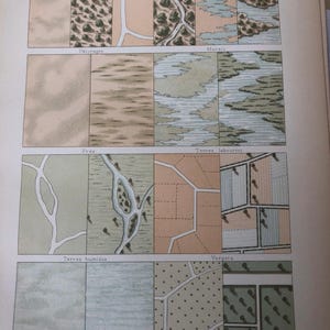 1877 Wall Covering Designs Original   published in Architecture dictionary by Ernest Bosc | French history | framable wall art