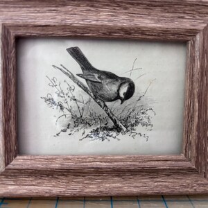 Puede incluir: Ilustración en blanco y negro de un pájaro posado en una rama, enmarcada en un marco marrón rústico. El pájaro está detallado con sombreado. Tema: naturaleza.