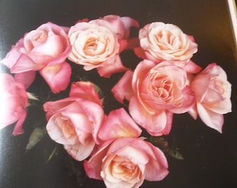 Mapplethorpe - Bouquet of Roses- Small Print Modern art flowers | Y Portfolio | Framable art gift pink blooms Valentines