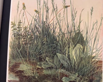 Albrecht Dürer, Gran pieza de césped / Lámina vintage / Perfecta para enmarcar