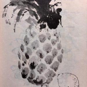 May include: A black and white ink drawing of a pineapple and a lemon. The pineapple has a textured surface and a crown of dark leaves. The lemon is to the right of the pineapple.