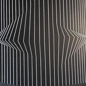 Pode incluir: Obra de arte abstrata em preto e branco com linhas brancas verticais que se dobram e curvam, criando um efeito tridimensional. As linhas s&atilde;o espa&ccedil;adas uniformemente sobre um fundo preto, formando uma ilus&atilde;o visual.