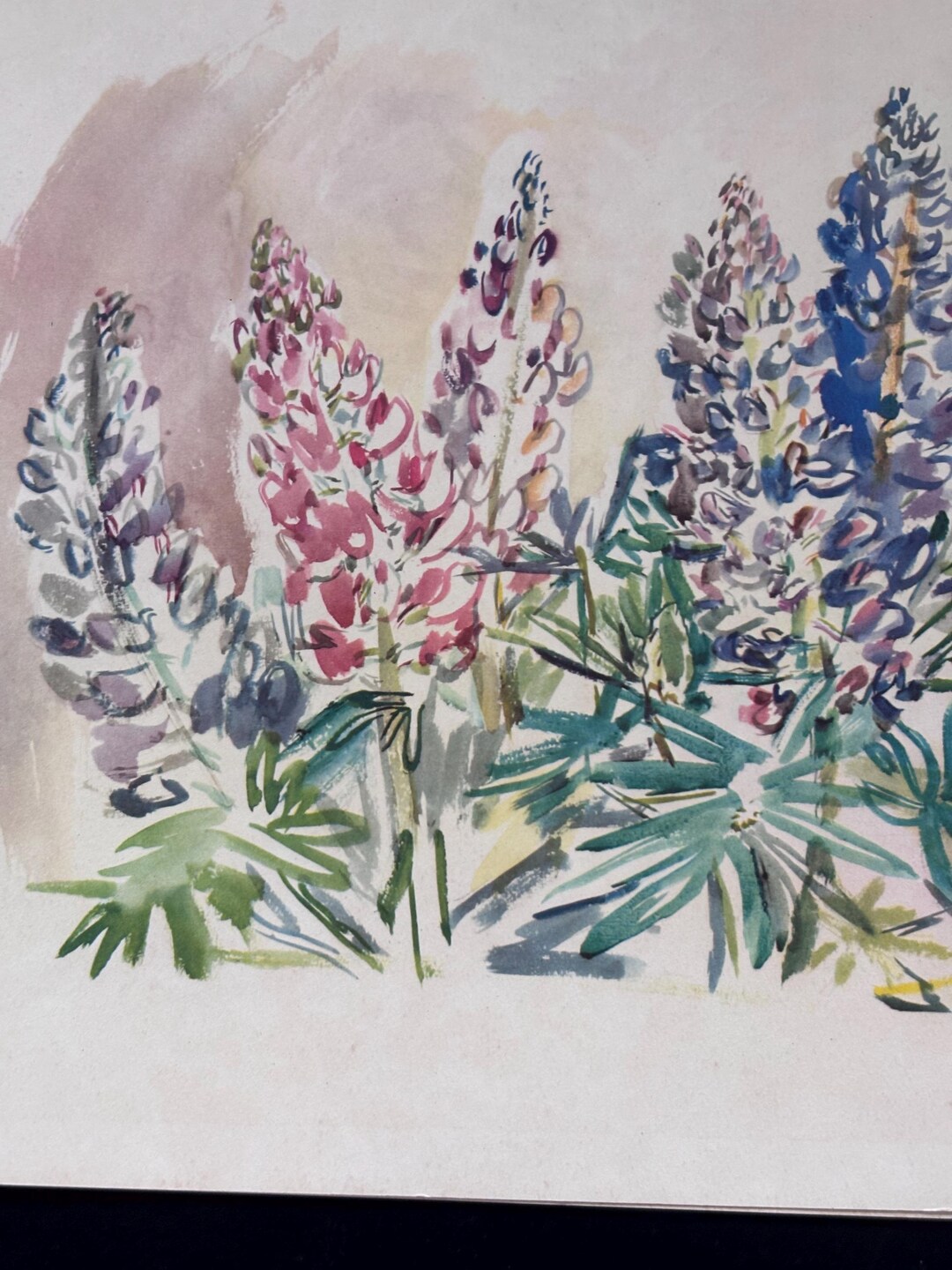 Oskar Kokoschka、Flowers、希少な額装用画集より、新品額装付 Oskar Kokoschka Lupin. Multicolor Flowers, Color Lithograph