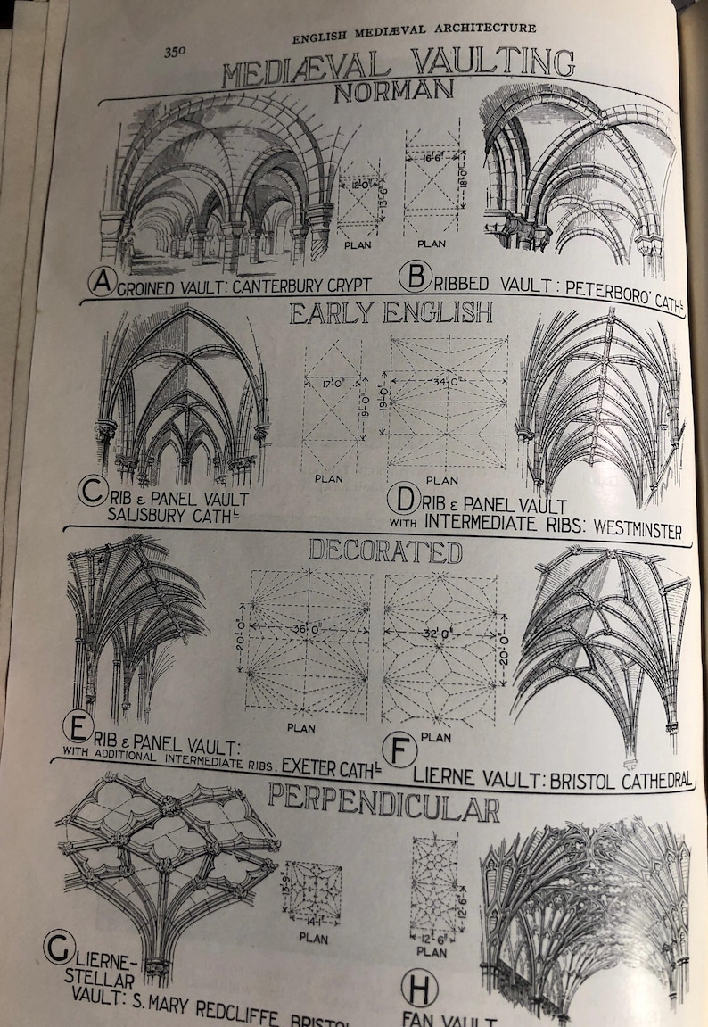 English Medieval Vaulting | Interior Architecture | Gift for Architect ...