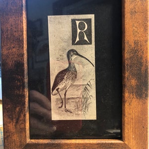 Letter R Monogram Alphabet Woodcut by A Thornburn with Curlew Framed Antique Original print Published Lithograph Rare image 3