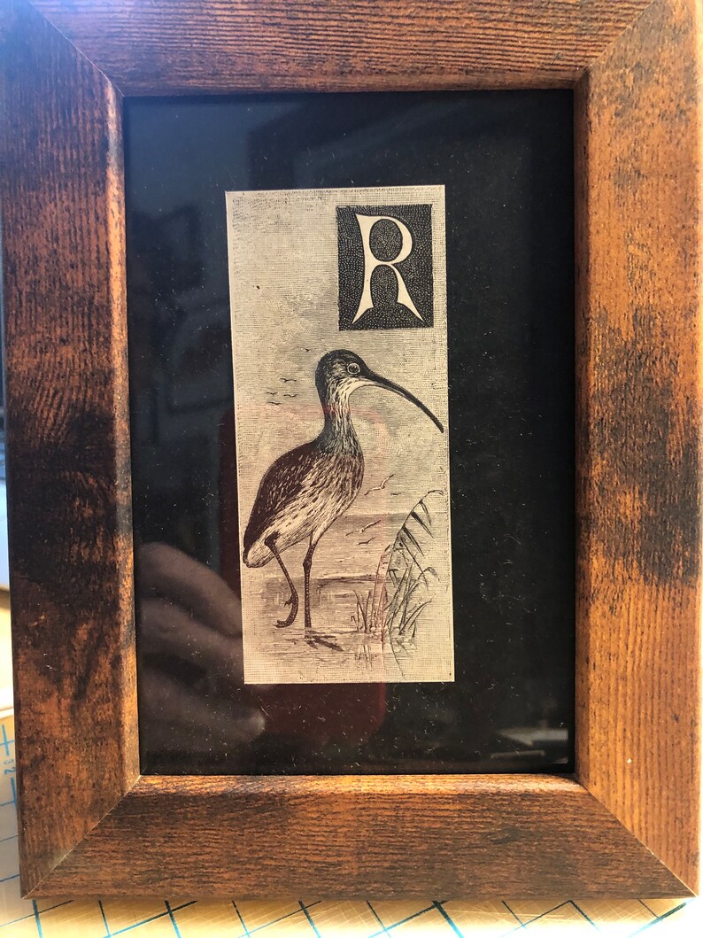 Letter R Monogram Alphabet Woodcut by A Thornburn with Curlew Framed Antique Original print Published Lithograph Rare image 3