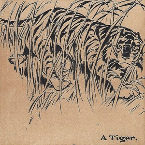 Oliver Herford Tiger Stalking Beute Giclée Druck Grafik Illustration Kunst Liebhaber Tier Druck mit Retro-Gefühl