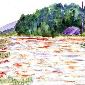 Salmon Run watercolour greeting card