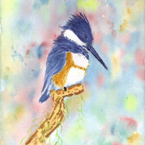 Fisher King watercolor kingfisher note card