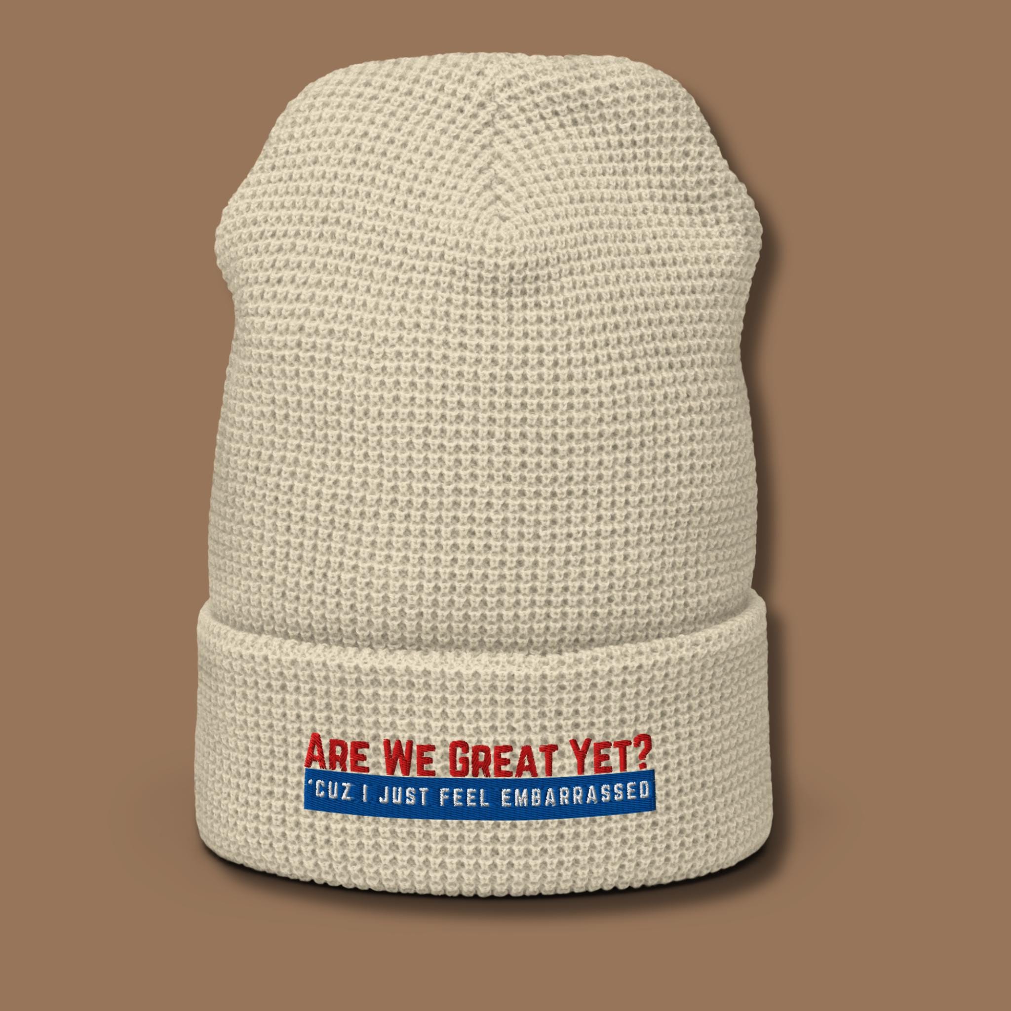 Sarcastic Beanie - Etsy Finland