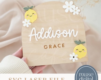 Archivos láser para bebés, letreros cortados con láser, archivos cortados con láser, tarjetas SVG de hitos, SVG cortado con láser, archivos láser de hitos del bebé