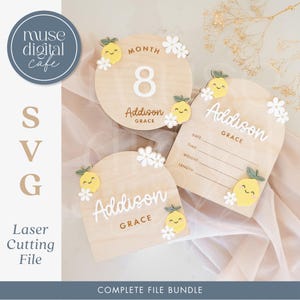 Archivos láser para bebés, letreros cortados con láser, archivos cortados con láser, tarjetas SVG de hitos, SVG cortado con láser, archivos láser de hitos del bebé