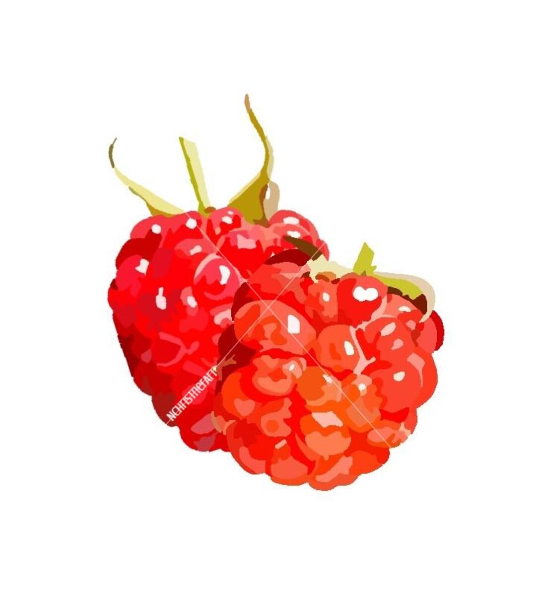 Baby Raspberry Print Digital Raspberry Print- Hand Drawn - Etsy