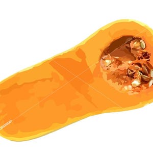 Digital Butternut Squash Print- Hand Drawn
