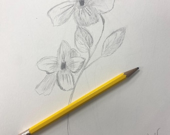 May include: A pencil sketch of two flowers with five petals each, connected by a stem with leaves. A yellow pencil with a pink eraser rests diagonally across the drawing. The artist's signature, "Robin Ramsey-Hooper," is in the lower right corner.