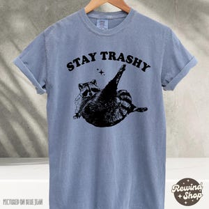 Stay Trashy Raccoon T Shirt, Funny Gift T Shirt, Raccoon TShirts, Retro 90s Graphic Shirt, Funny Graphic Tees