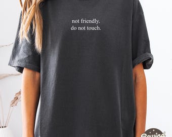 Sarcastic Comfort Colors® Shirt, Not Friendly Do Not Touch Shirt, Funny Humor Shirt, Adult Humor Shirt, Sarcasm Shirt, Funny Trendy Shirt