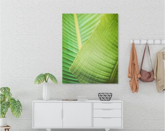 Botanical Photography, Banana Leaf Home Decor, Wall Art Print or Canvas