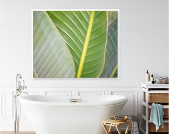 Banana Leaf Photography, Abstract Botanical Home Decor, Wall Art Print or Canvas