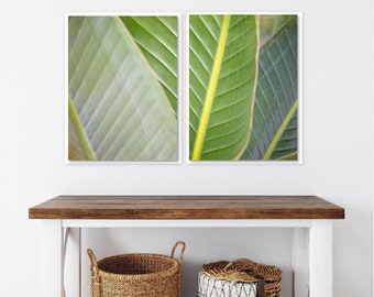 Set of 2 Art Prints or Canvases, Green Abstract Tropical Wall Art, Banana Palm Leaves Home Decor Prints
