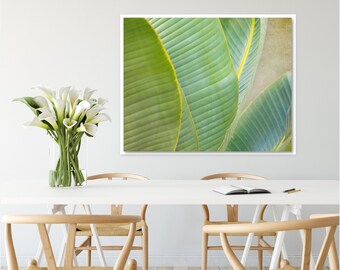 Banana Leaf Abstract Photography, Minimalist Botanical Home Decor, Wall Art Print or Canvas