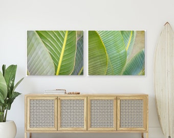 Set of 2 Art Prints or Canvases, Green Banana Palm Leaves, Abstract Tropical Wall Art, Minimalist Home Decor Prints