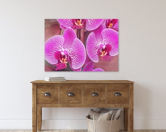 Orchid Flower Art Prints, Magenta Pink Floral Photography #3