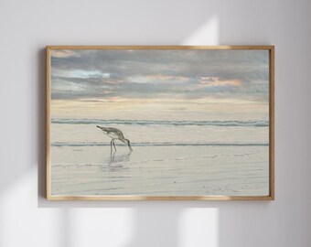 Coastal Sea Gull Art Print: Shoreline Bird Photography