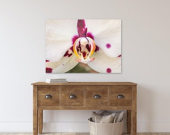White Orchid Flower Photography, Pink  Floral Tropical Art Prints #19