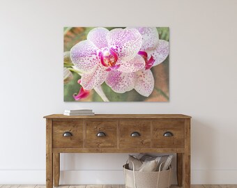 Orchid Photography, Pink Floral Garden Art Prints #10