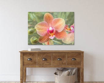 Orange Orchid Photography Floral Close Up Botanical Art Prints #8