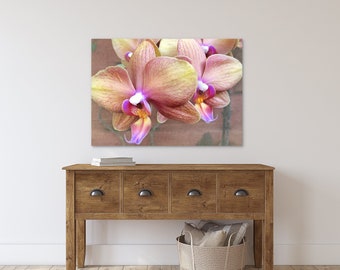 Pink Orchid Photography Floral Close Up Botanical Art Prints #7