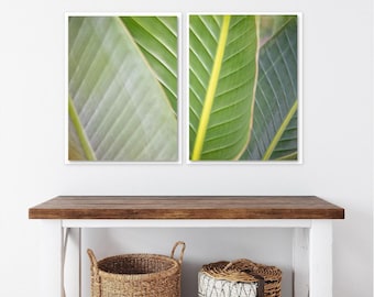 Banana Leaf Art Prints, Green Tropical Home Decor, Set of 2