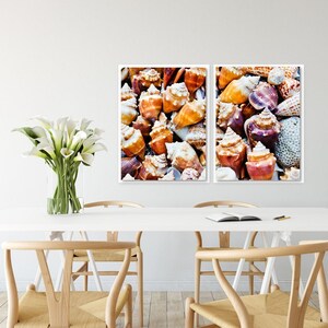 Juego de 2 impresiones o lienzos de arte costero con conchas marinas, arte de pared de playa, decoración del hogar