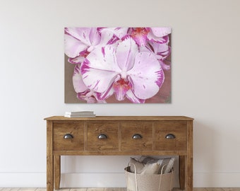 Orchid Flower Photography, Pink Garden Art Prints #11