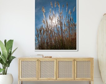 Sun Kissed Sea Oats, Beach Wall Art Decor, Coastal Shoreline Florida Art Print