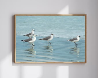 Beach Ballet, Coastal Wall Art Decor, Sea Bird Art Print