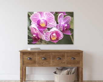 Pink Orchid Flower Photography, Botanical Art Prints #23